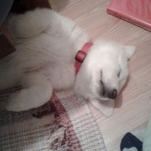 Meet your Posher, Marisa